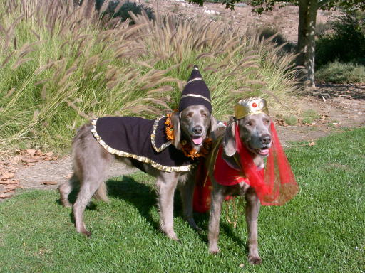 Wizard Kahlua & Princess Jasmine