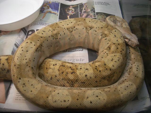 coil
