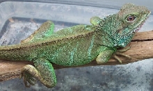 Salyzar
