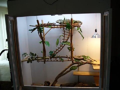 Spikes cage