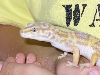 photo 1a