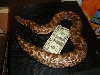 Big Mama Kenyan