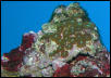 Saltwater Photos
