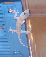 Found at work