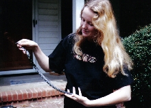 Wild Caught Eastern Kingsnake, August 2001, Easley, SC... released back int