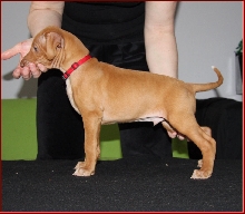 Romeo