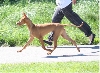 Yagah in motion
