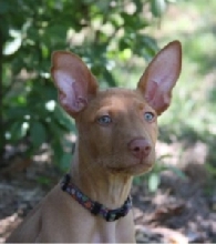 Kiya headshot 9 weeks