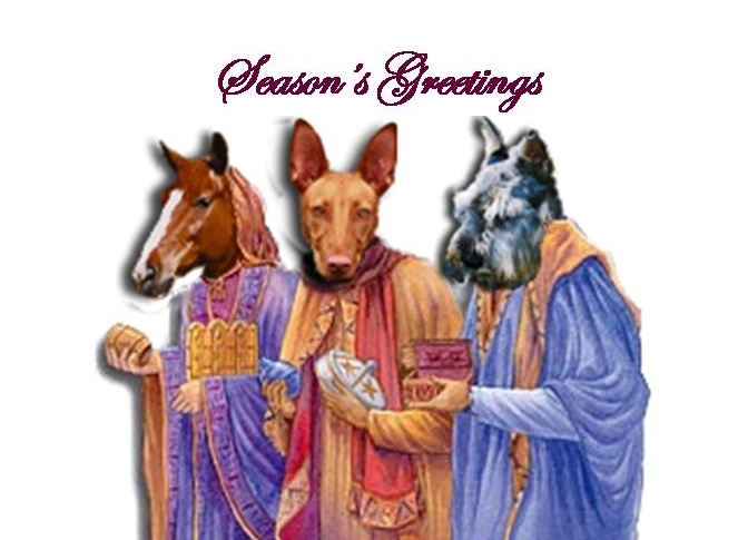 Merry Christmas from Kiya & the pack