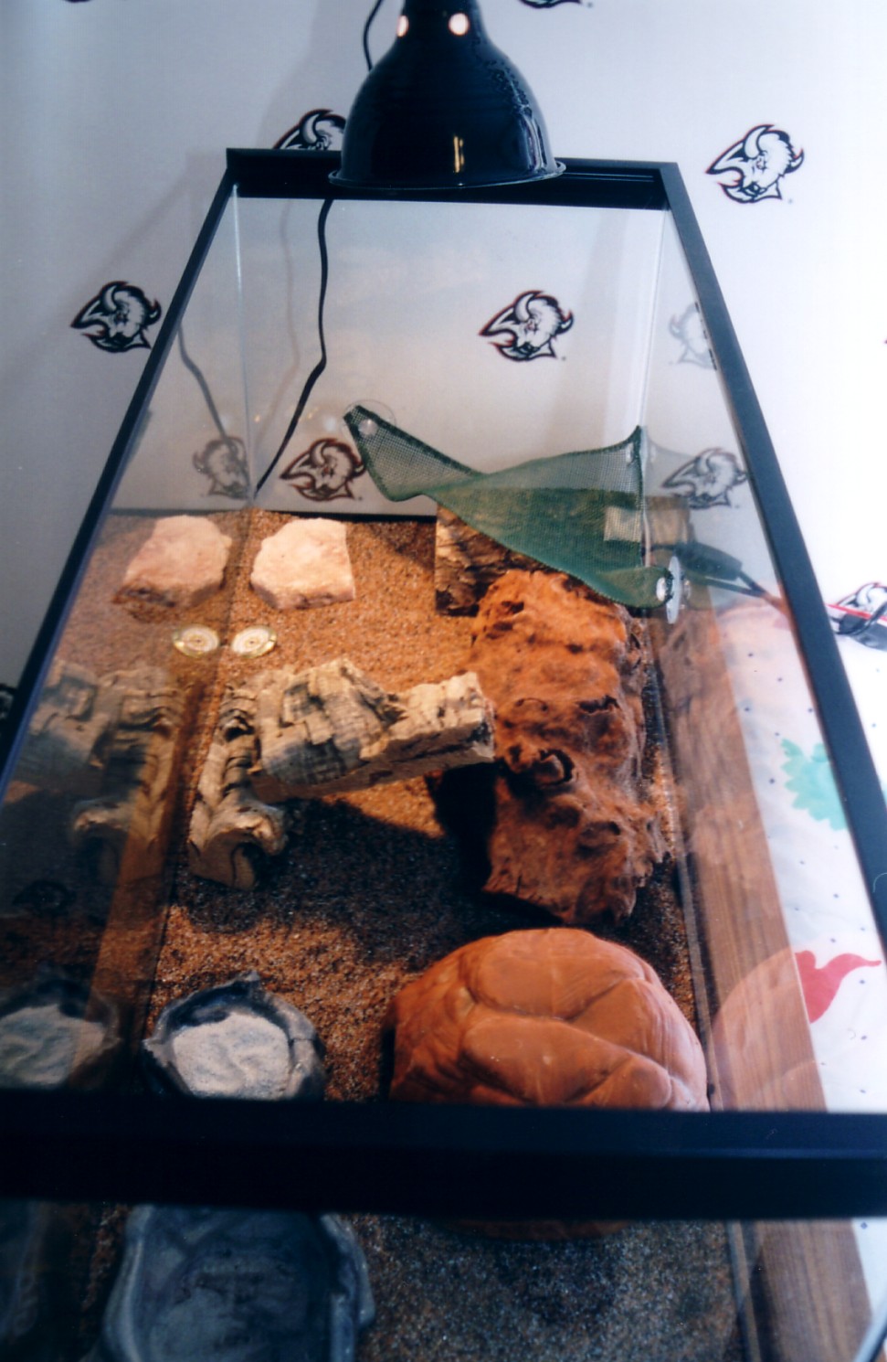 Jeff's Vivarium