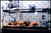 Jeff's Vivarium