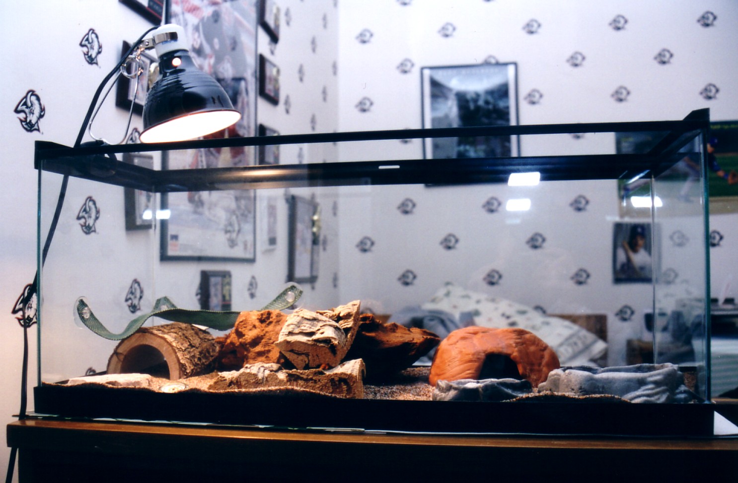Jeff's Vivarium