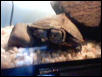 My Map Turtle 4