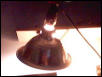 Light