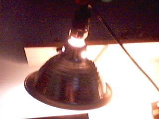 Light