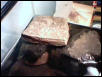 Basking Area