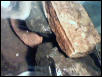 Food 2