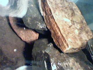 Food 2