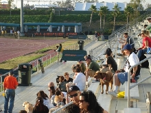 People & Dogs at La Crosse Game