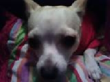 miss mattie