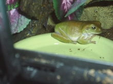 Oro2