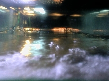 long view of 125 gallon