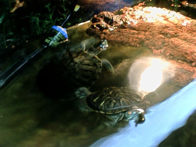 two sliders