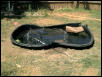 my project