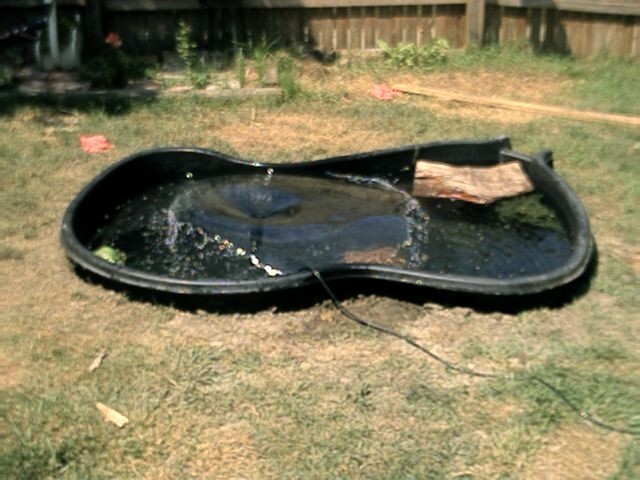 my project