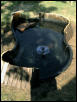 pond
