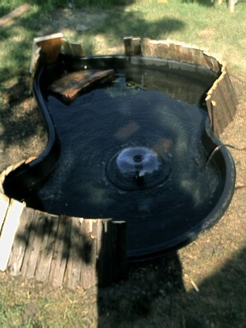 pond
