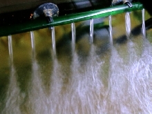 spray bar output on Eheim