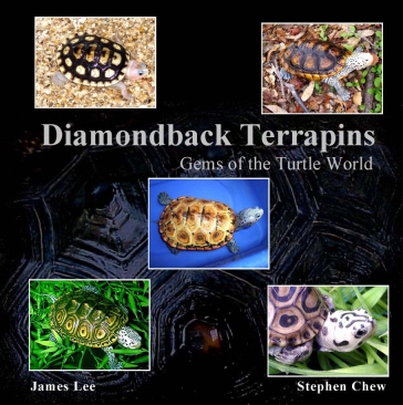Gems of the Turtle World
