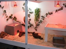 Boa Cage