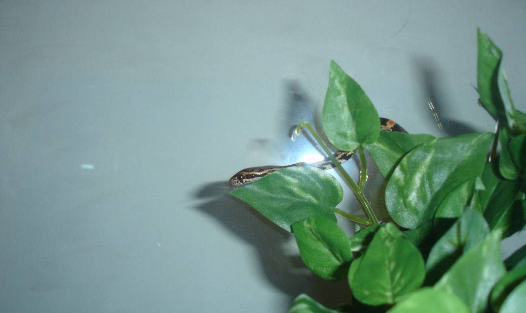 Samus' first picture