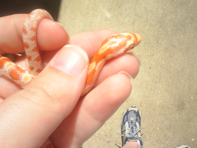 New Addition from Petco