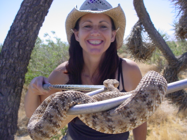 speckled rattlesnake