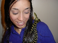 Jenny & Jungle Carpet