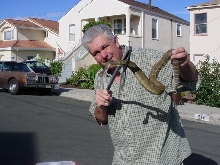 Holding a rattler