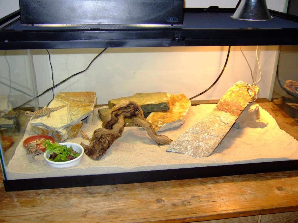 Temp Cage setup