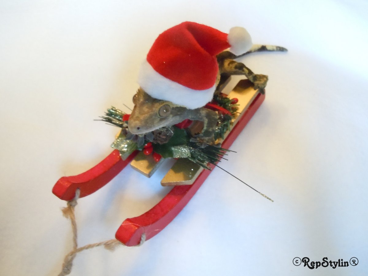 Snow Crestie