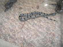 fall 2007 02