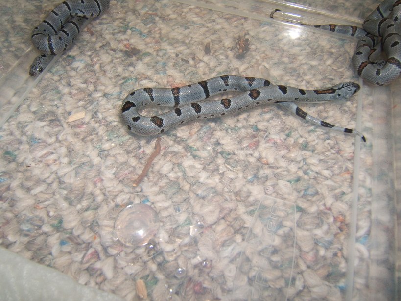 fall 2007 02