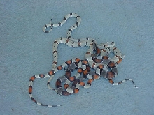 group photo