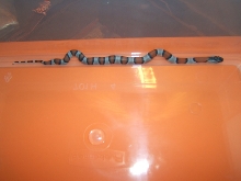 juno blairs hatchling