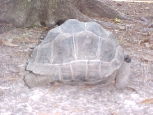 Praslin