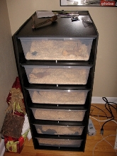 rack for my balls