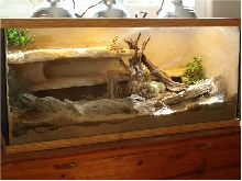 50 Gallon Desert Living Vivarium