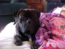 Max and best friend