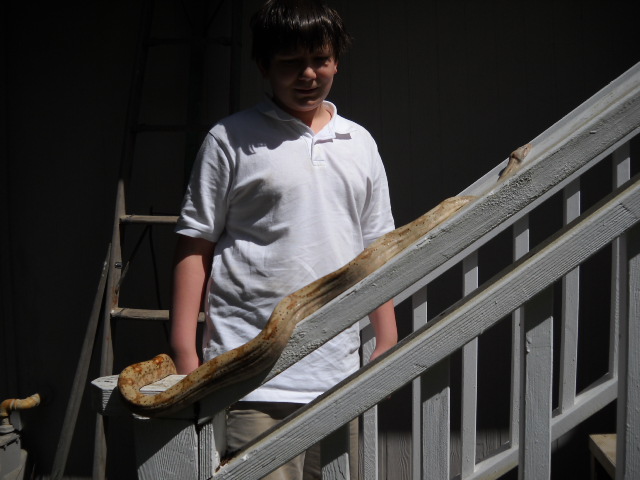 My Cousin and his EBV Hog Island